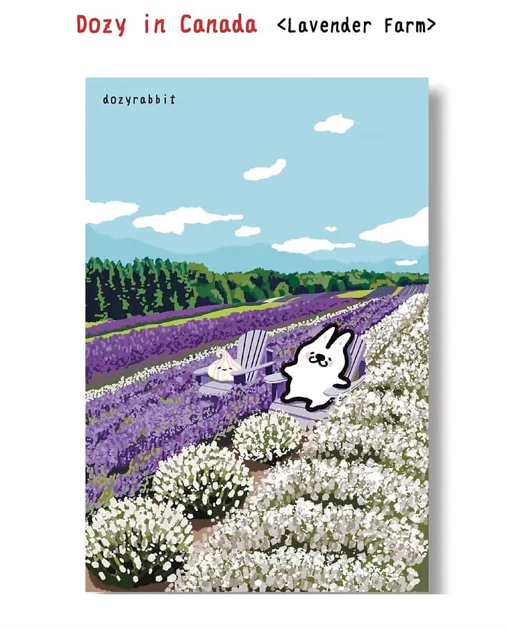 dozy rabbit